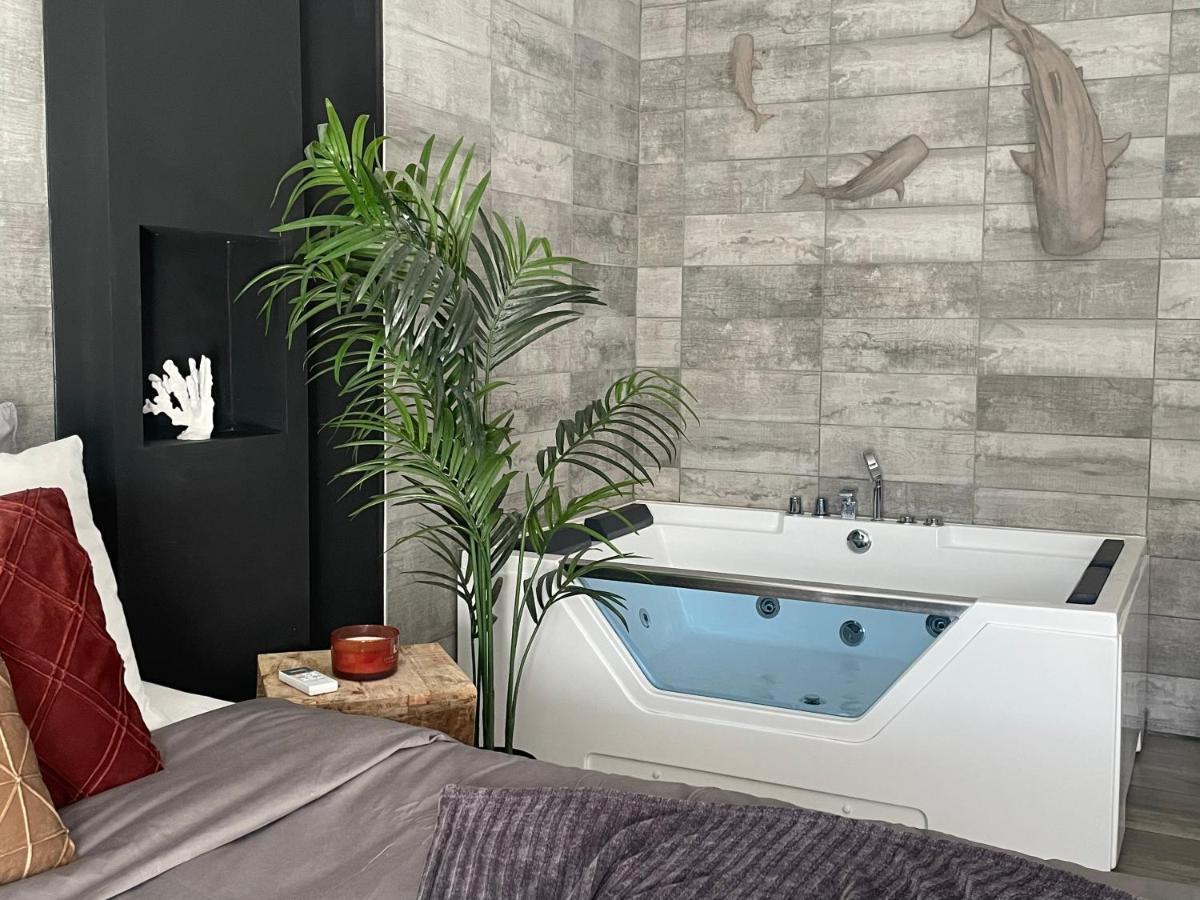 Superbe Appartement Avec Balneo. Saint-Cyprien  Εξωτερικό φωτογραφία